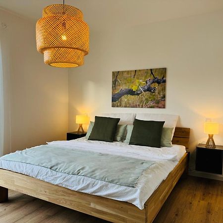 Moderne Ferienwohnung Mit Terrasse, Grill & Privatparkplatz Venningen Bagian luar foto